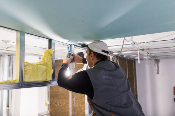 Best Insulation Maintenance and Repair in Lake Brownwood, TX